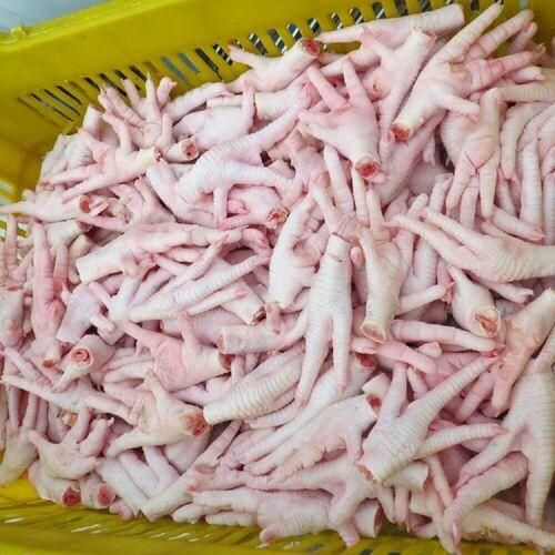 Premium Frozen Chicken Feet Carefully Selected and Packed for Global Distribution - Image 5