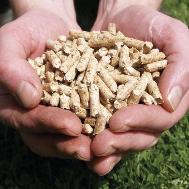 Eco Friendly Biomass Energy Product Featuring Din Plus Wood Pellets For Importers Requiring Reliable Fuel - Image 2