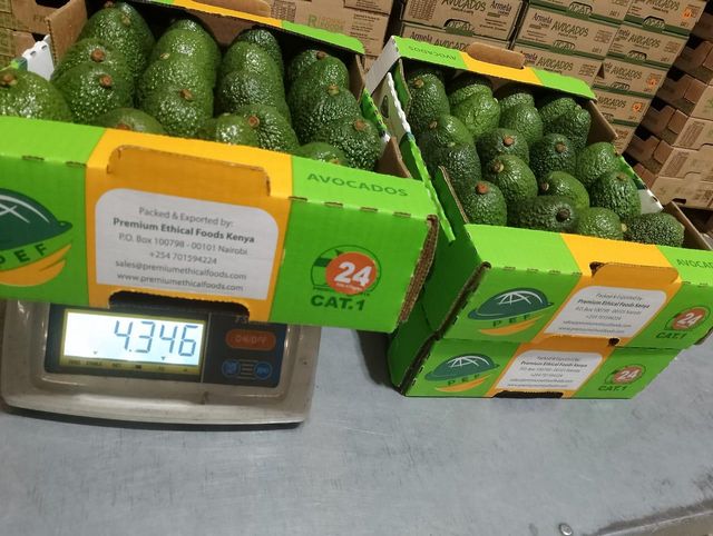 Hass Avocado from kenya – product photo 3, product detail gallery