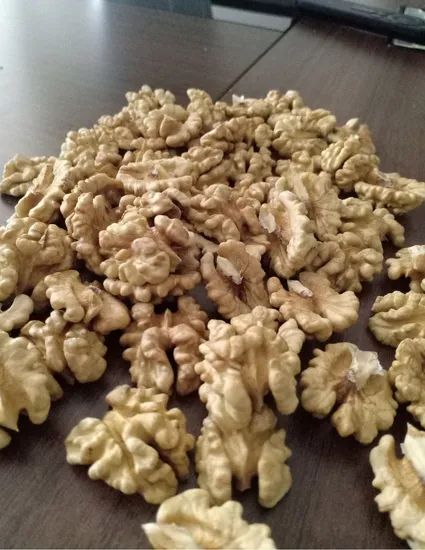 Walnuts in Shell Fresh and Dried Walnut Kernels Origin China Storage Shade Processing Raw Trademark sugo Model NO. - Image 2