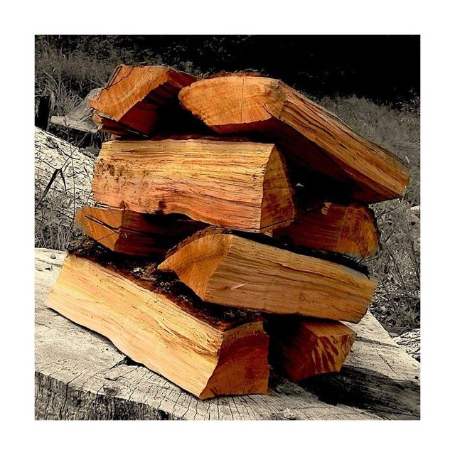 Premium Cherry Wood Logs Wholesale Fast Delivery Stock Transport Means Freight Train Transport Destination Africa, Asia - Image 4