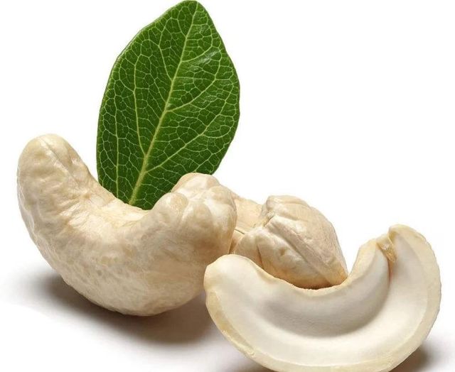 CASHEW KERNEL W180,W240,W320 AND W450 - Image 3