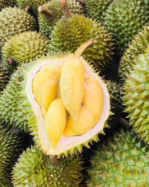 FRESH DURIAN/ DRIED DURIAN/ FROZEN DURIAN Shelf Life 2 YEARS Place of Origin THAILAND - Image 3