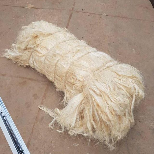 Selected Material UG Grade Sisal Fibre Offered In Raw Bales With Reliable Export Supply - Image 4