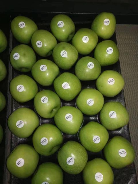 Premium Fresh Granny Smith Apples, Crisp Tart Juicy Grade A Green Fruits with Rich Nutrition - Image 3