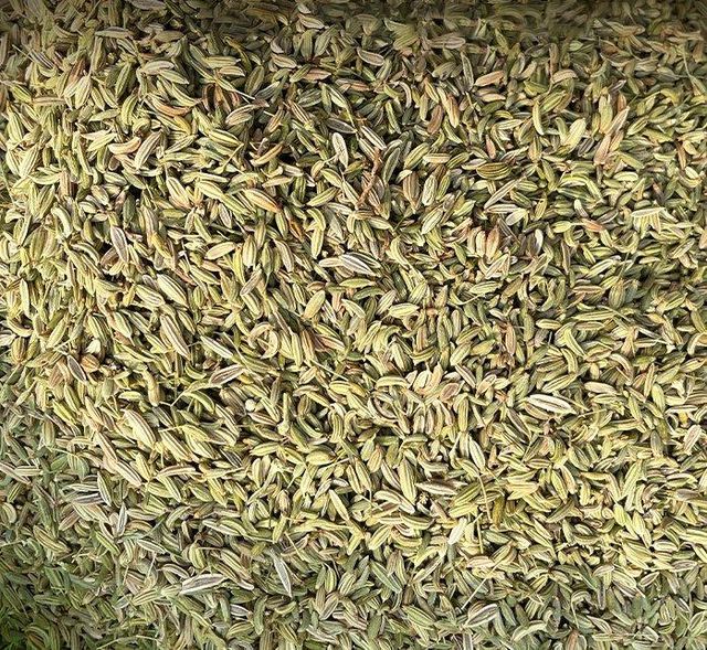 Bulk Fennel Seeds for Export – Premium Grade Natural Fennel Seeds with Strong Aroma, Sweet Flavor, and High Purity for Spice Markets, Food Production, Herbal Medicine, and Beverage Manufacturing with Competitive Wholesale Pricing and Secure International Shipping - Image 4