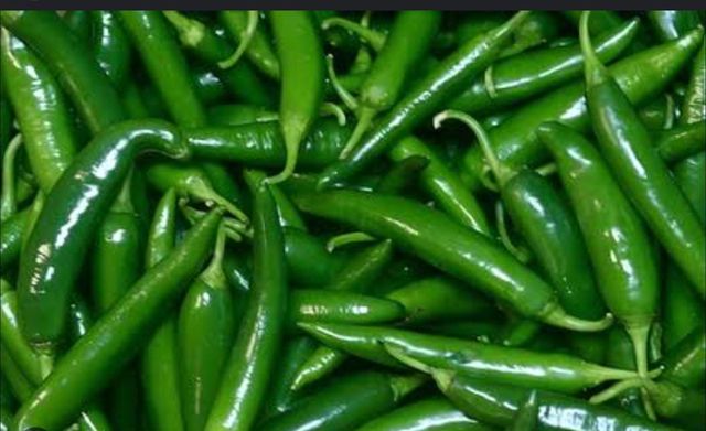 Fresh Green Chilli – product photo 1, product detail gallery