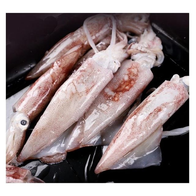 Cheap Wholesale Top Quality Frozen Whole Loligo Squid (Seafood) In Bulk - Image 1