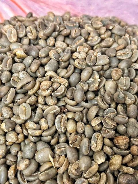 Robusta Green Bean Coffee - Indonesia (Grade 1/2/3) - Image 3