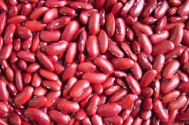 Red Kidney Beans - Image 3