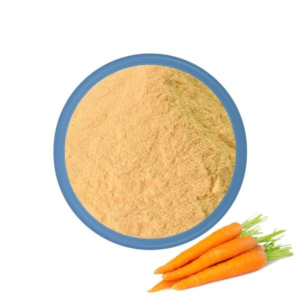 High Quality Wholesale Carrot Powder Supplier | Pure Dehydrated Carrot Powder Made from Fresh Selected Carrots, Ideal for Soups, Sauces, Bakery Products, Health Supplements, Baby Nutrition, and Instant Foods | Rich in Nutrients, Natural Flavor, Fine Texture, No Additives, Available in Bulk Packaging for Industrial and Food Service Use - Image 2