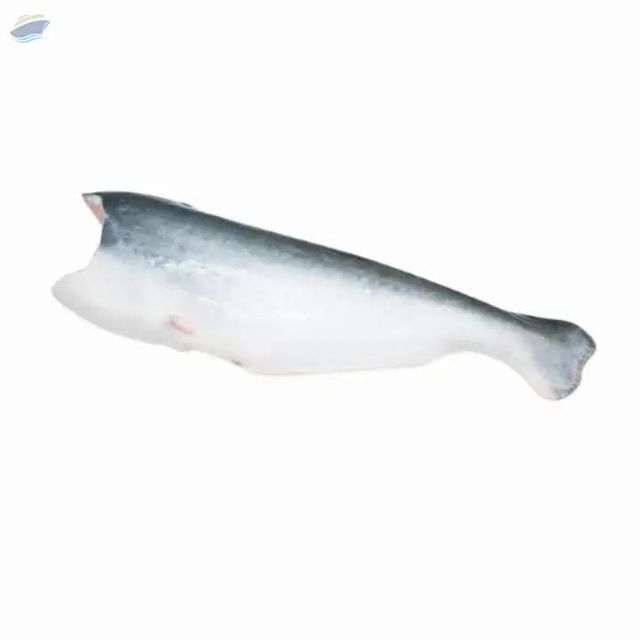 Export-Grade Frozen Pangasius Hgt, A - Image 1
