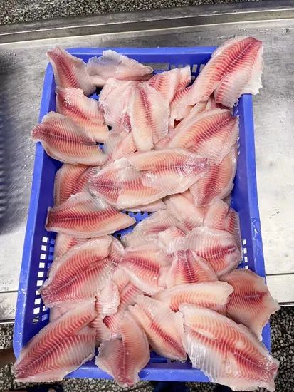 Tilapia Fillets IQF Frozen Tilapia Fillet Type Fish Origin China Trademark primega Shelf Life >12 Months Saving Condition - Image 5