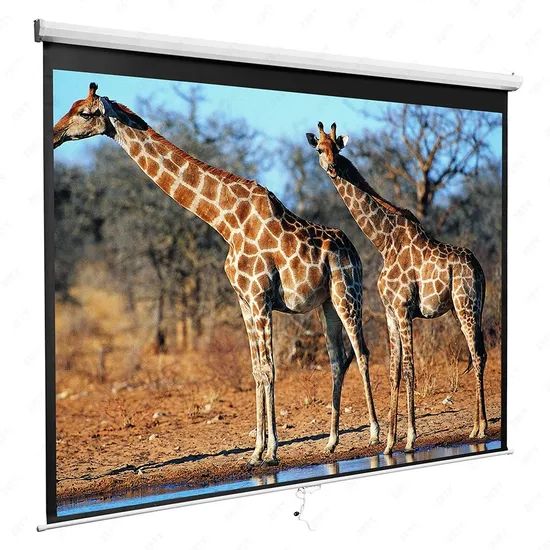 60"X60" Manual Wall Projection Screen, Pull Down Projector Screen - Image 2