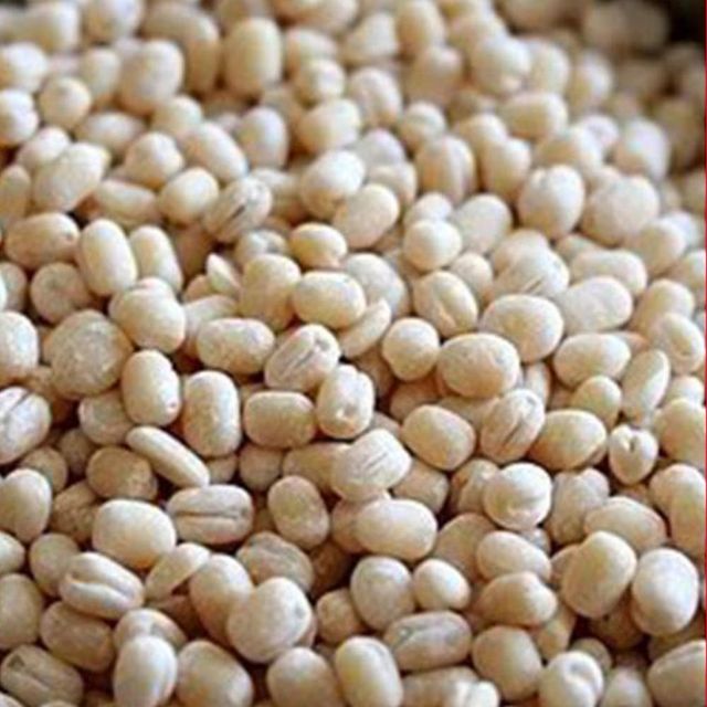 White Urad Dal Natural Whole Lentils Processed Under Hygienic Conditions For Wholesale Buyers Worldwide Demand - Image 3