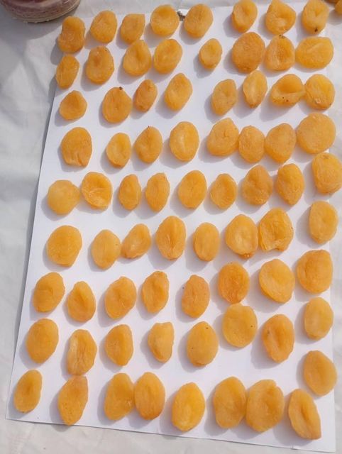 Dry Apricots – product photo 5, product detail gallery