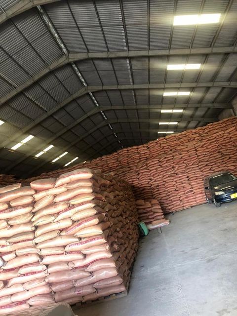 UREA 46% FERTILIZER Color White Form Granular Friability 100 Packaging 50kg Biuret Content 1.0% Max Humidity Level 0.5% Max - Image 1