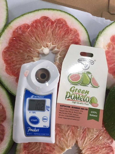 Fresh Green Pomelo Grapefruit Green skin pomelo class 1 Pink Flesh Citrus fruit Vietnam Healthy Nutritious Whatsap 0084989322607 - Image 5