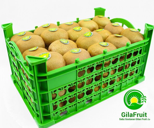 Kiwi Fruit Iranian - Image 1