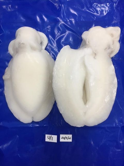 Tuna and cuttlefish - Image 2
