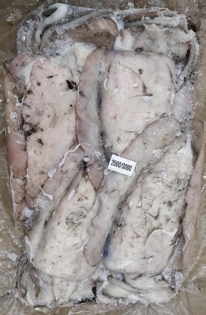 Frozen cuttlefish - Image 1
