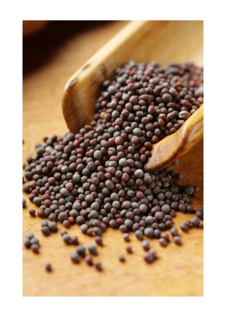 Black Mustard Seeds Black Mustard Mustard Seeds (Black) Black Mustard Seed Small Mustard Seeds Small Black Mustard Seeds - Image 4