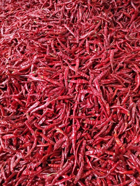 Dry Red Chillies (Teja, Sannam, Kashmiri and Byadgi) Length 5 To 8 Cm, 6 To 9 Cm Packaging 25/50 KG BAGS OR AS PER REQUIREMENTS - Image 5