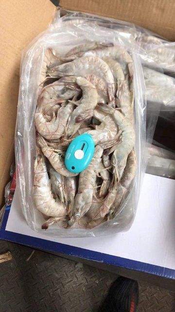 FISH AND FISH PRODUCTS (CRUSTACEANS) FROZEN HOSO VANNAMEI SHRIMPS IN FROZEN - Image 3