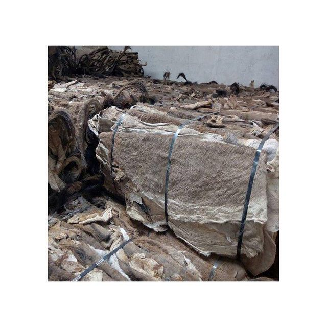 Bulk donkey hides available at competitive prices ideal for wholesalers and exporters - Image 3