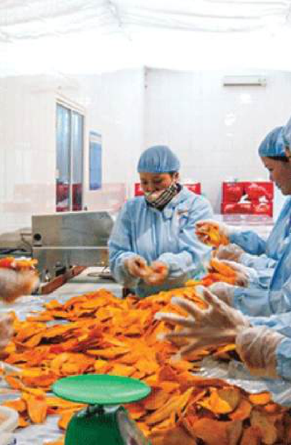 Dried Grape Fiber Content High In Fiber Calorie Content Low In Calories Processing Method Natural Dehydration Form Variants Whole, Chopped, Roasted, Organic - Image 1