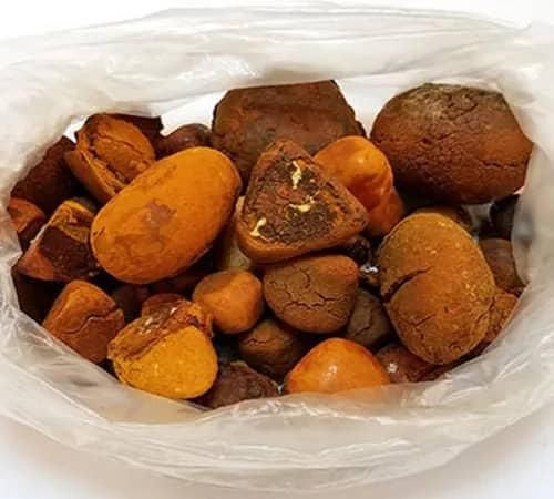 High quality cow Bezoar Gallstones for sale-Natural sourcing Quality A Size 3g-50g Color yellow Certification HACCP Shelf Life - Image 4
