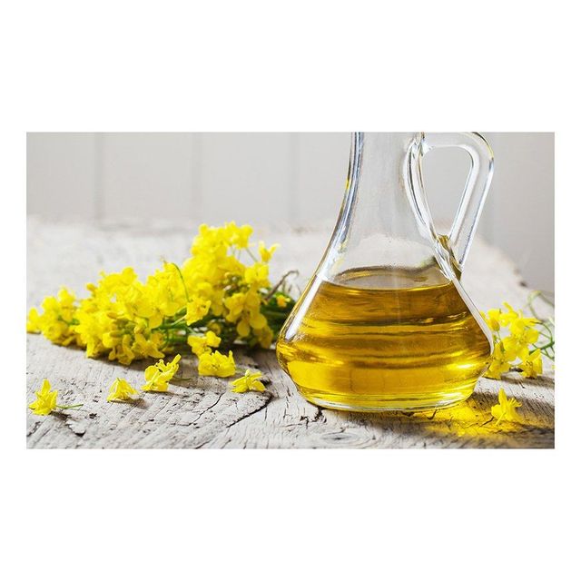 Refined canola oil offered in stock for cooking and food processing industries - Image 2
