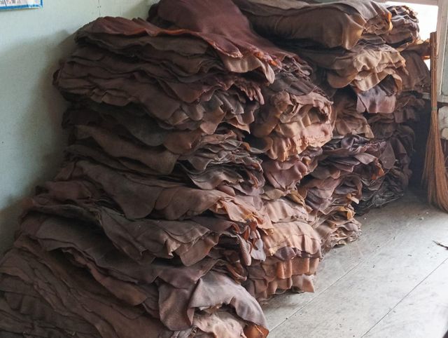 Bulk Donkey Hides Wet Salted Dry Salted Export Grade Natural Animal Skins for Leather Processing and Tanning Industry - Image 1