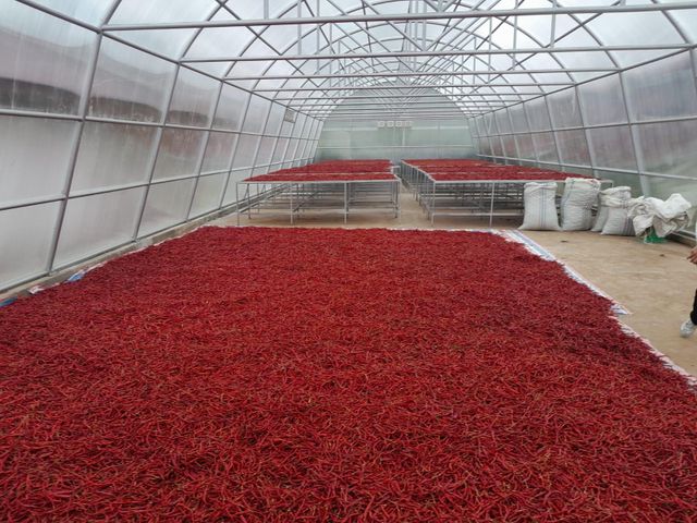 Chilli powder - Image 3