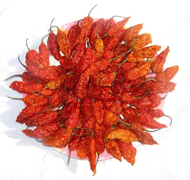 Ghost Pepper Powder Bhut Jolokia Powder Hot Chilli Pepper Jiyan Food Ingredients India - Image 3