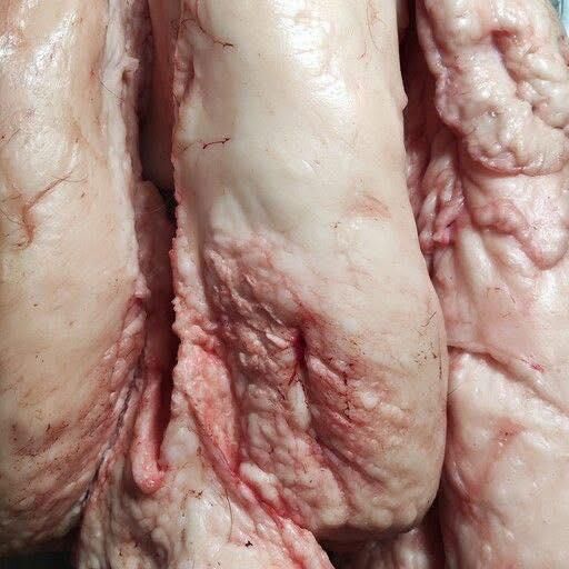 Top Quality Lamb Tail Fat Grade A Shelf Life 8 months Certifications Haccp, Iso, Halal Processing Temperature… - Image 4