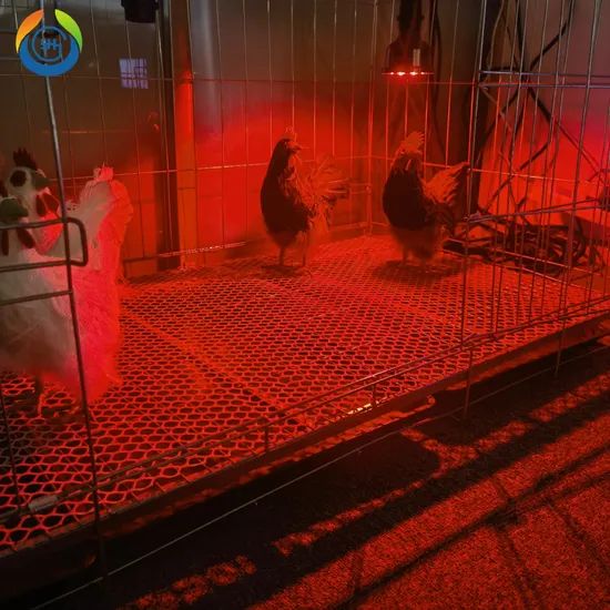 Intelligent Chicken Farming Lighting 5000K+ Red IP67 LED Poultry Light Bulb - Image 1