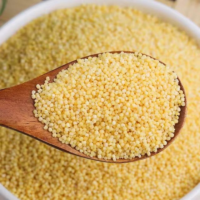 Premium Organic Millet Grain For Healthy Daily Meals And Natural Nutrition Rich Farm Fresh Quality Supply - Image 5