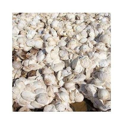 Natural Rubber SVR3L / Rubber Cup Lump/ Raw rubber - Image 2