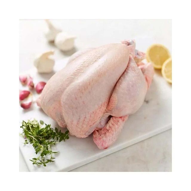Premium frozen whole chicken available for bulk supply with tender meat for sale in good price - Image 3