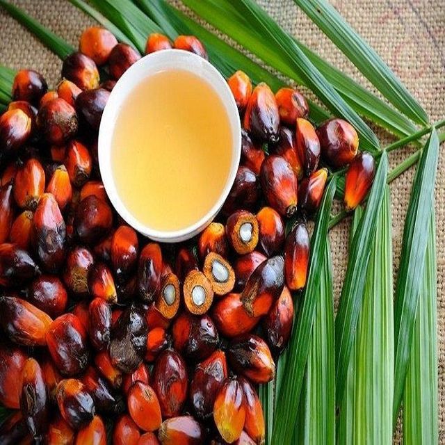 100% Pure & Natural Food Grade Refined Palm Oil Fractionated Cooking Oil Wholesale Bulk Purchase Manufacturer - Image 2