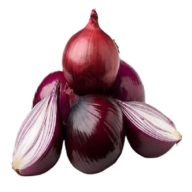 Best Selling And High Quality Wonderful Delicious Fresh Vegetable Red Onion at Wholesale Prices for Worldwide Export From India – product photo 2, product detail gallery
