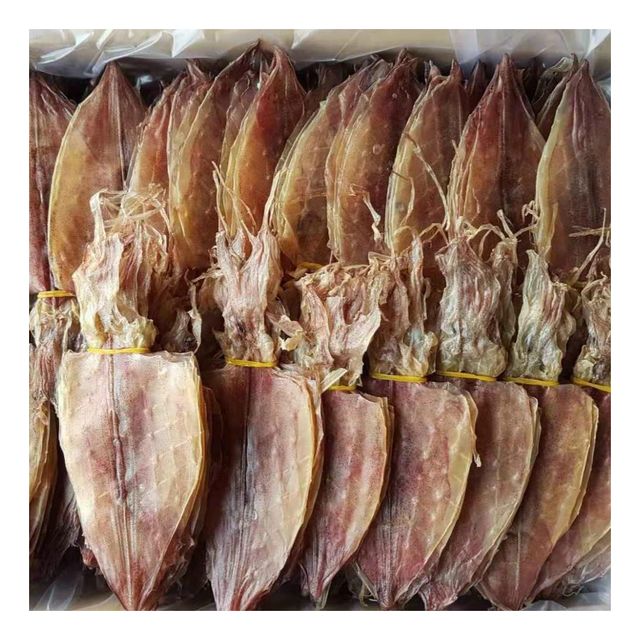 Best Selling Quality Dried Squid from Vietnam Sea Dried Squid With Cheapest Price Asia Cuttlefish - Image 4