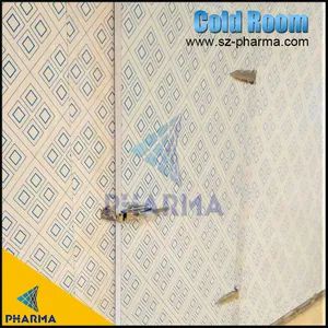 Factory Cold Room Storage Walk in Cooler with Condensing Unit - Image 1