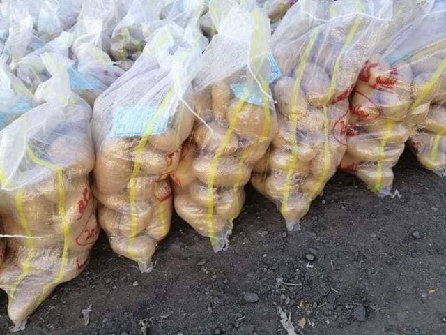 Potatoes , onions , garlic , grapes , mango , lots of pepper ( bell peppers, yellow peppers ,cayenne  peppers ) - Image 3