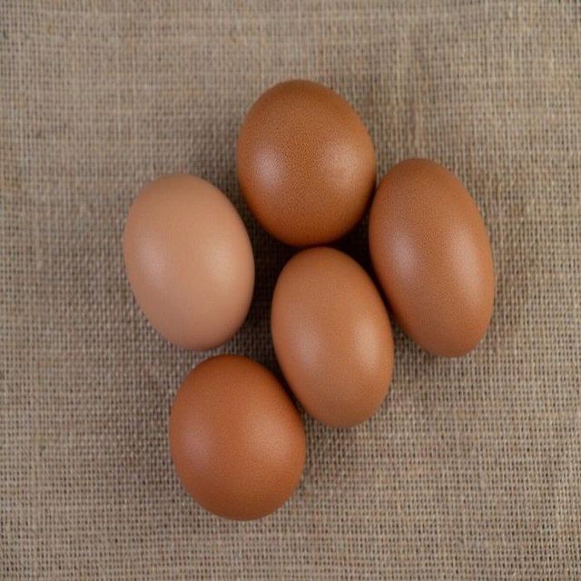 Natural Isa Brown Hatching Eggs Suitable For Incubators And Poultry Breeding Programs - Image 4