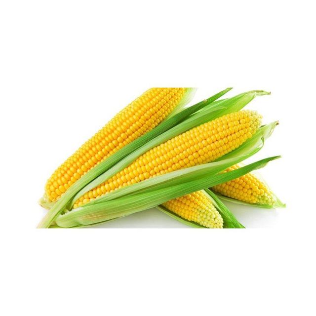 organic whole corn kernels for cooking soups salads roasting and making corn flour natural non gmo corn rich in fiber nutrients and natural flavor ideal for healthy diets vegetarian meals and everyday cooking - Image 1