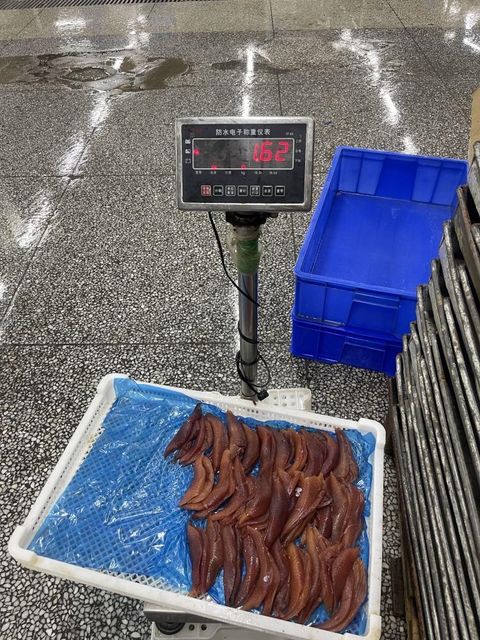 Premium Frozen Herring Fish Whole Round Export Quality Rich Natural Nutrition For International Seafood Supply Markets - Image 1