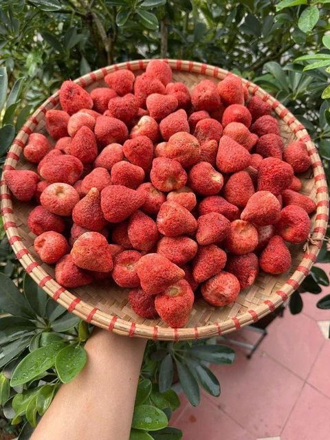 Natural Vietnam Dried Strawberry Chunks Made from Selected Fruit for Ice Cream Mix Granola Inclusion Candy Production - Image 2
