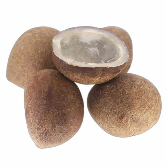 Indian Dried Copra (Ball / Cup Copra) – Export Quality - Image 4